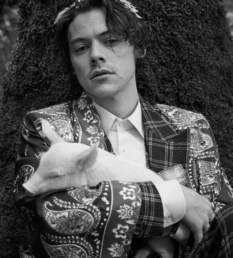 harry styles gucci lamb|Gucci Harry Styles collection.